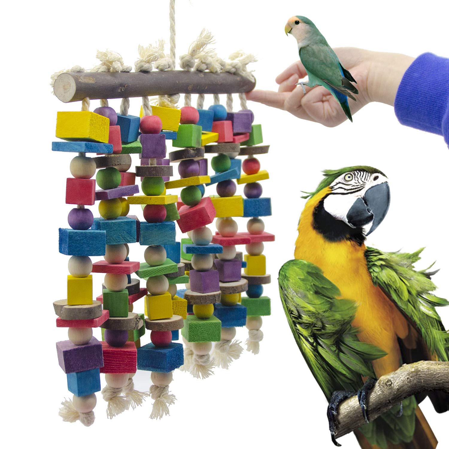 Deloky parrot toy closeup shows wooden blocks and edible pigments for safe chewing