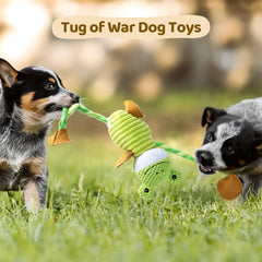 DELOMO dog toy 5 squeakers palms belly closeup highlights interactive sounds.