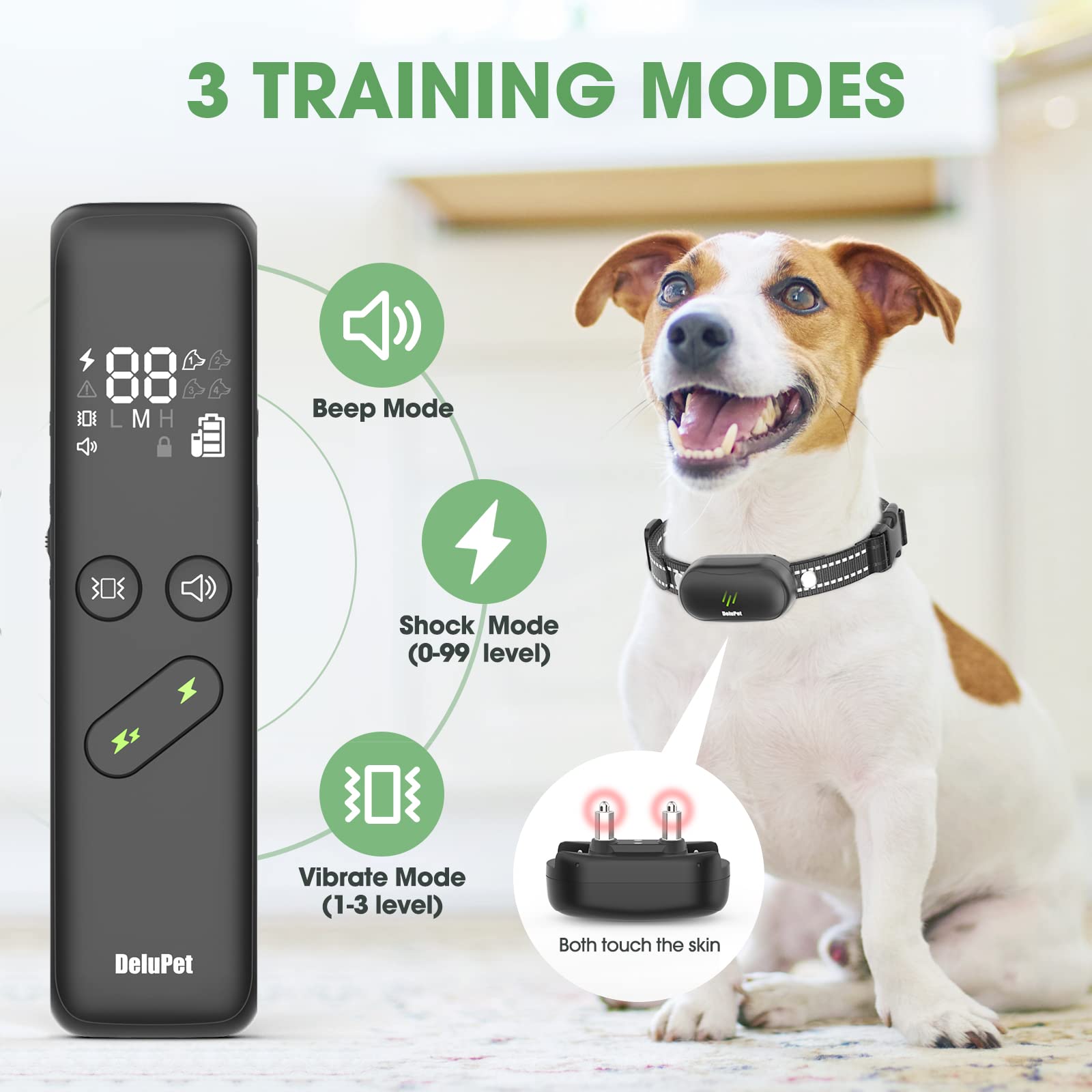 Delupet 1600ft training range enables smooth recall during park or yard sessions.