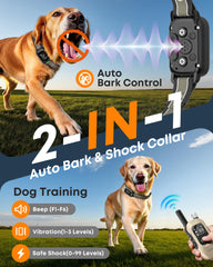 Delupet bark collar remote demo showing long-range control for outdoor training