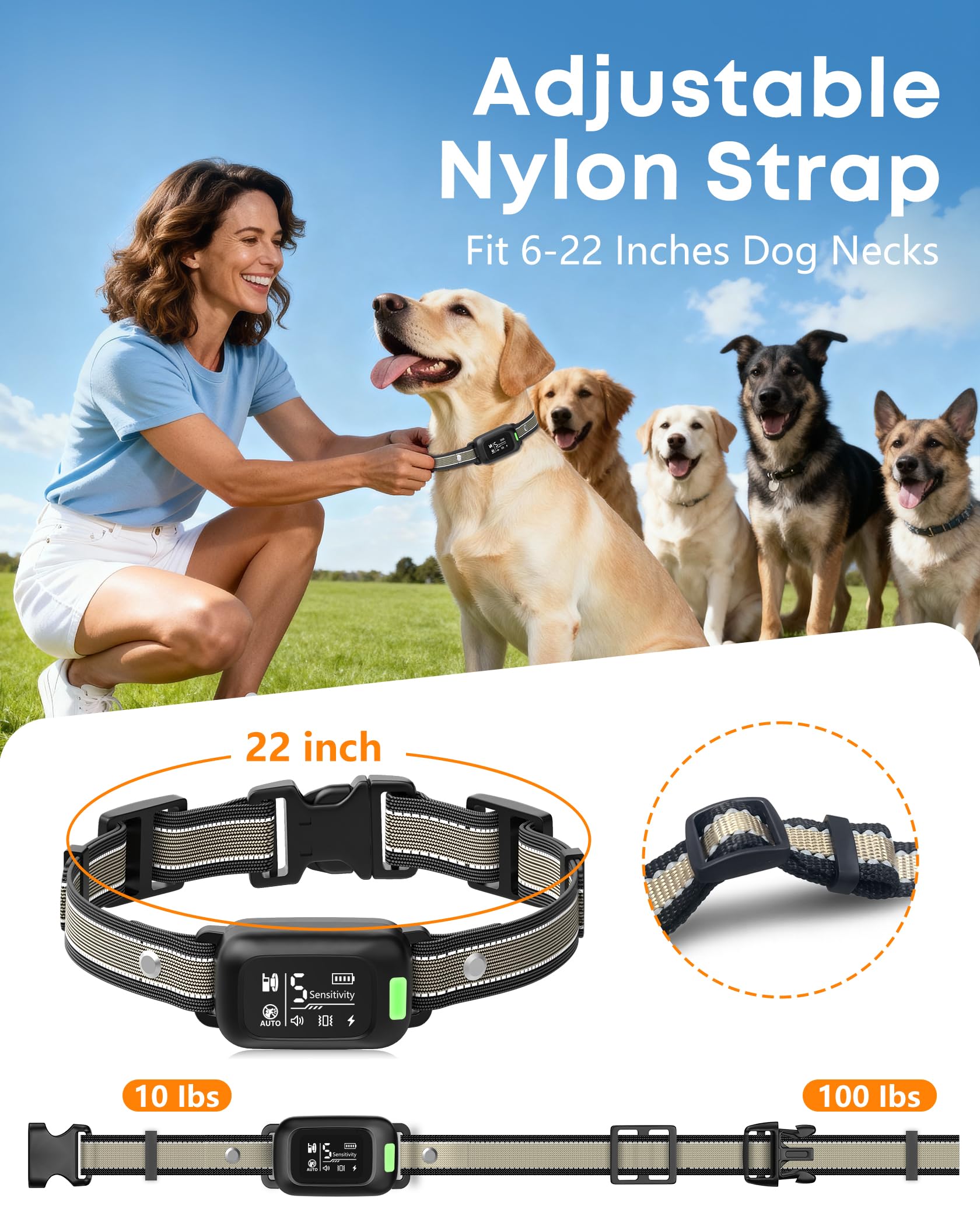 Delupet waterproof collar submerged or rainy walks without worry