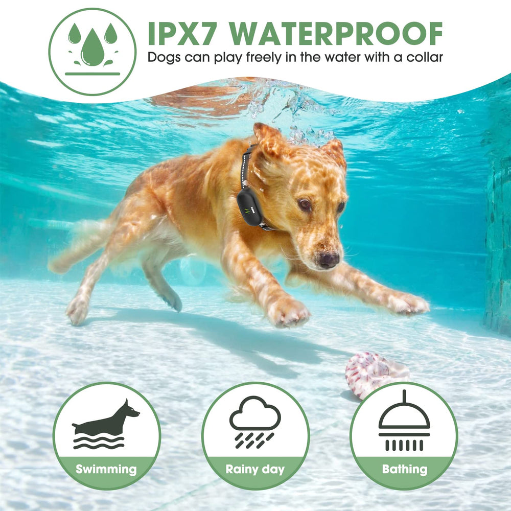 Delupet adjustable neck fit accommodates dogs from small to large.