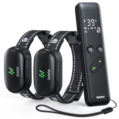 Delupet dual-dog training collar with remote for two dogs.