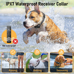 Delupet rechargeable dog collar ready for repeated training sessions.