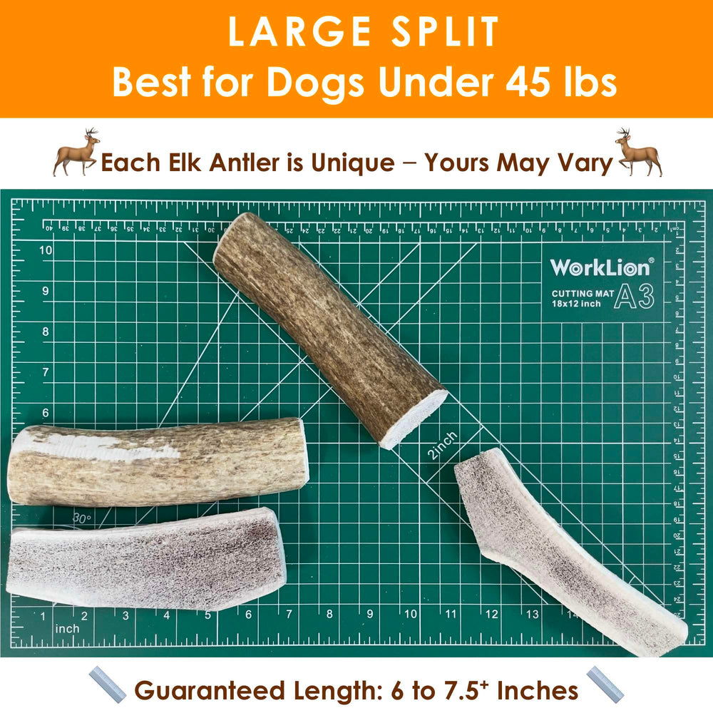 Deluxe Naturals dental health support elk antler chew showing minerals
