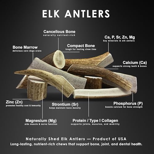 Deluxe Naturals elk antler chews closeup marrow exposed, maximizing natural nourishment.