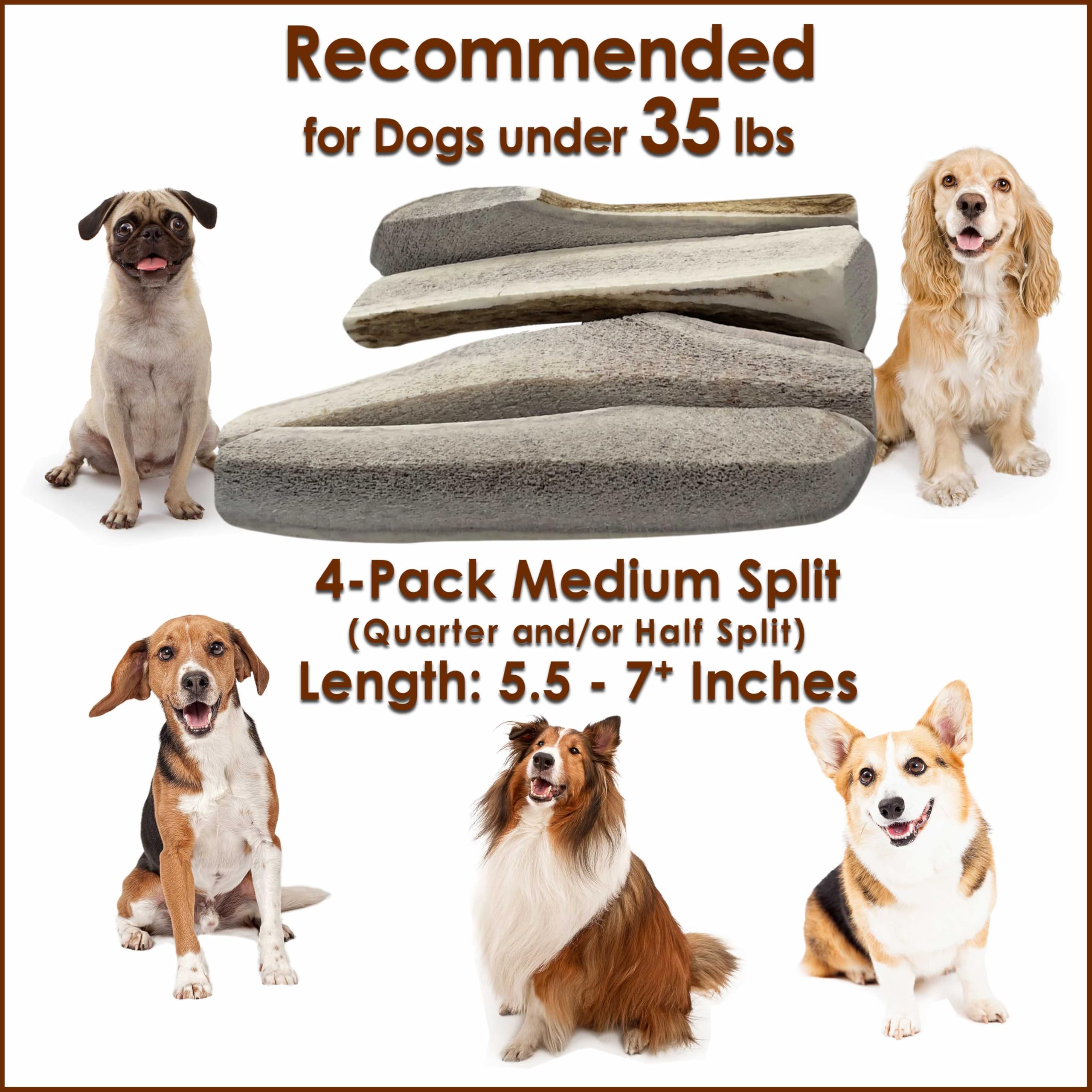 Deluxe Naturals elk antler chews demonstrate dental health and fresher breath potential.