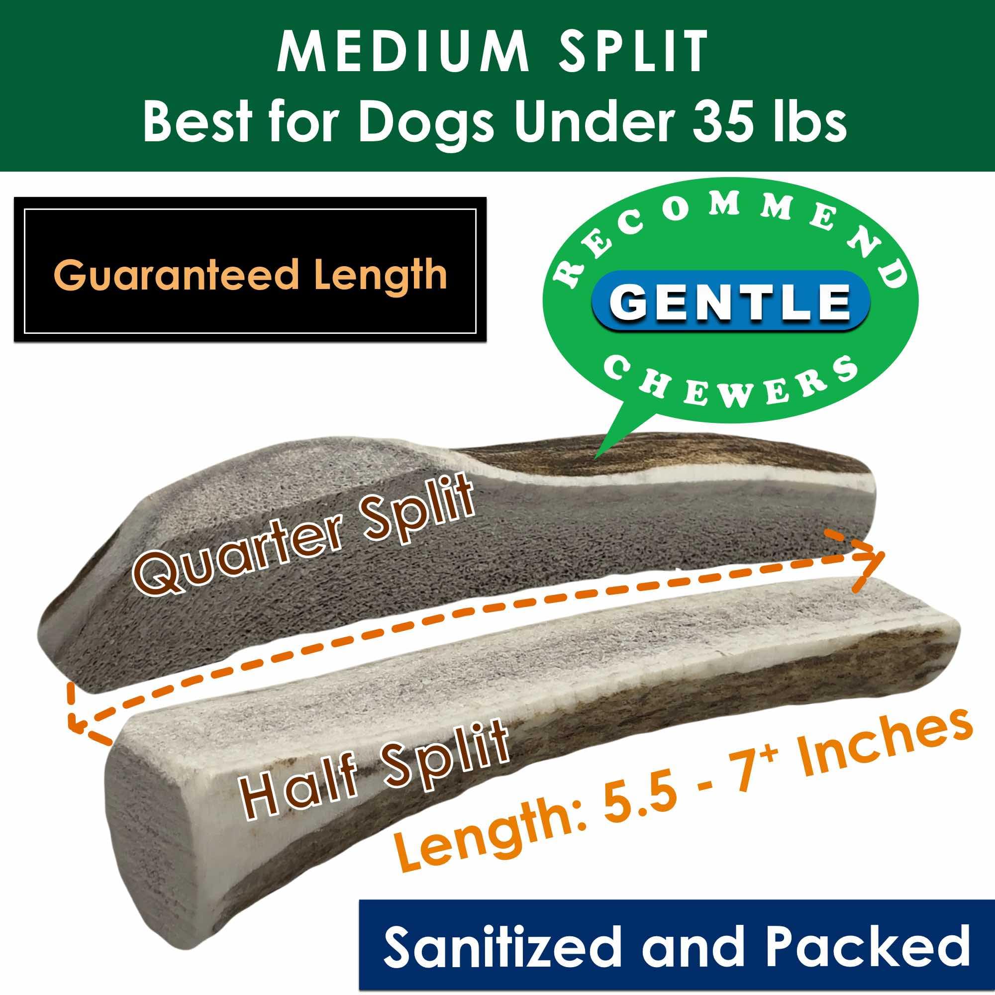 Deluxe Naturals elk antler chews long-lasting and odor-free for quiet chew sessions.