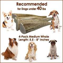 Deluxe Naturals elk antler chews small dog 6inch illustrates appropriately sized treat for under 40 lbs