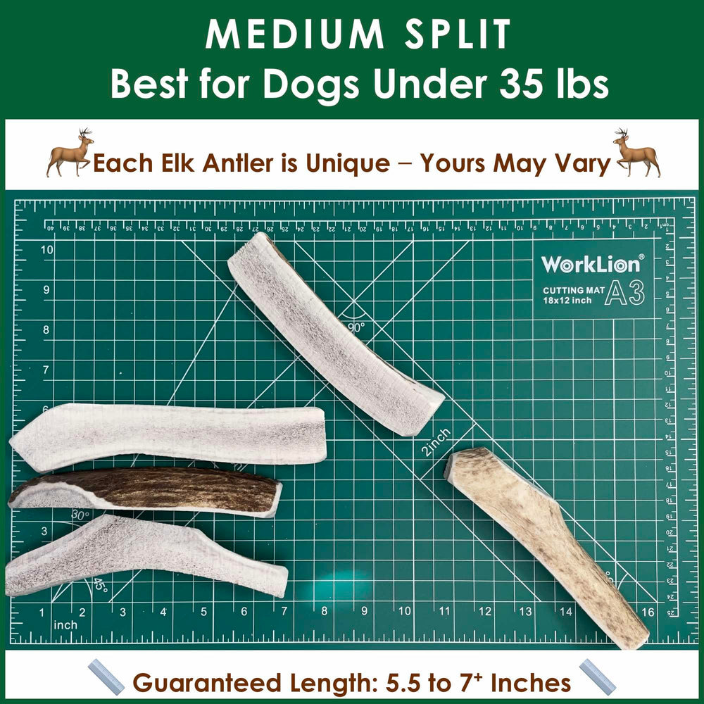 Deluxe Naturals elk antler chews for small dogs, 5.5–7 inches.