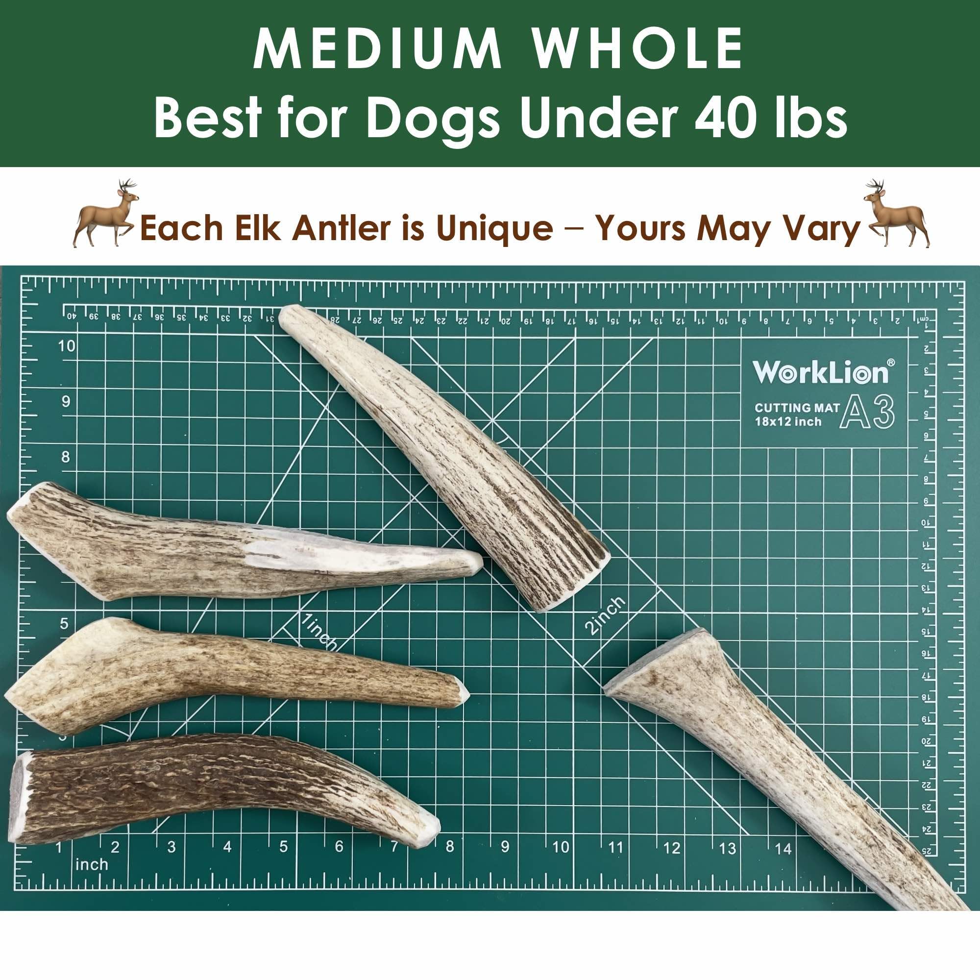 Deluxe Naturals elk antler chews texture detail highlights natural grain and durability