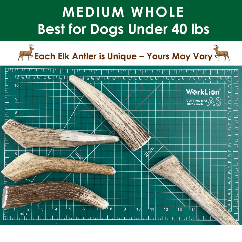 Deluxe Naturals elk antler chews texture detail highlights natural grain and durability