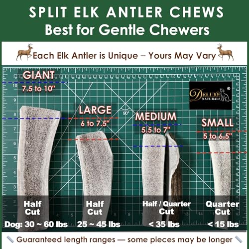 Deluxe Naturals elk antler chews all natural rawhide-free alternative for dogs.
