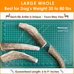 Deluxe Naturals elk antler chew showcases USA-sourced shed antlers for natural chews.