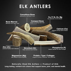 Deluxe Naturals elk antler chew demonstrates durability for aggressive chewers.