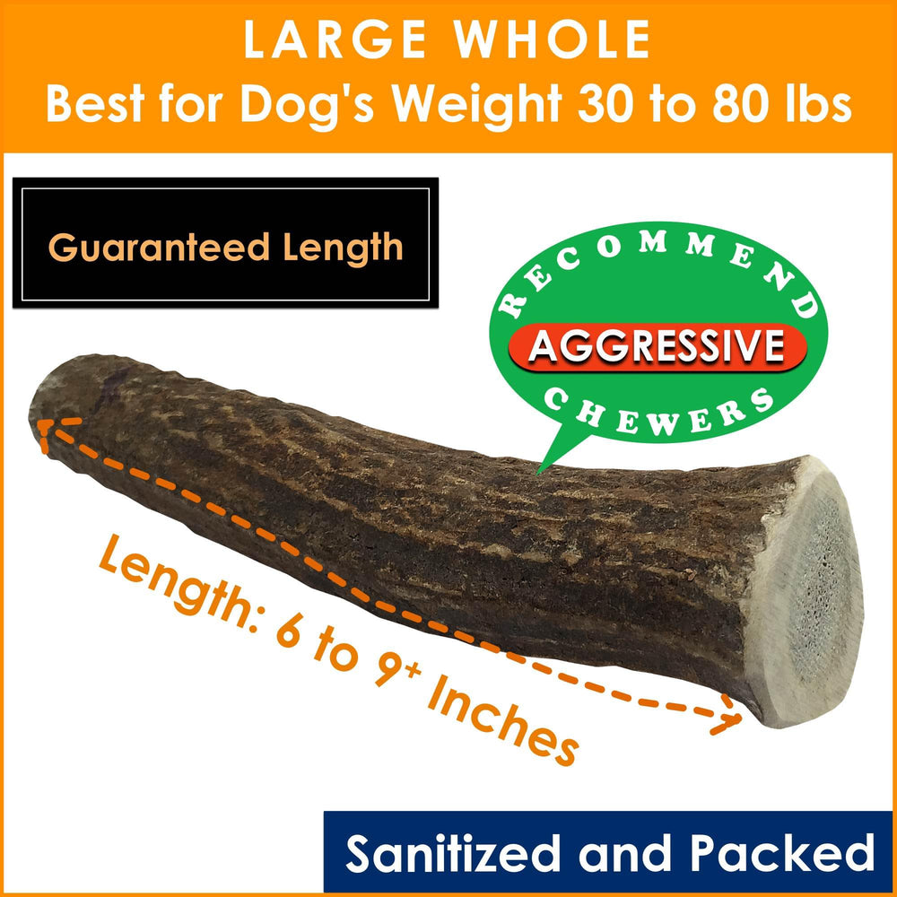 Deluxe Naturals elk antler chew emphasizes odor-free, mess-free chewing.