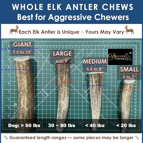 Deluxe Naturals elk antler chew sturdy design for aggressive chewers