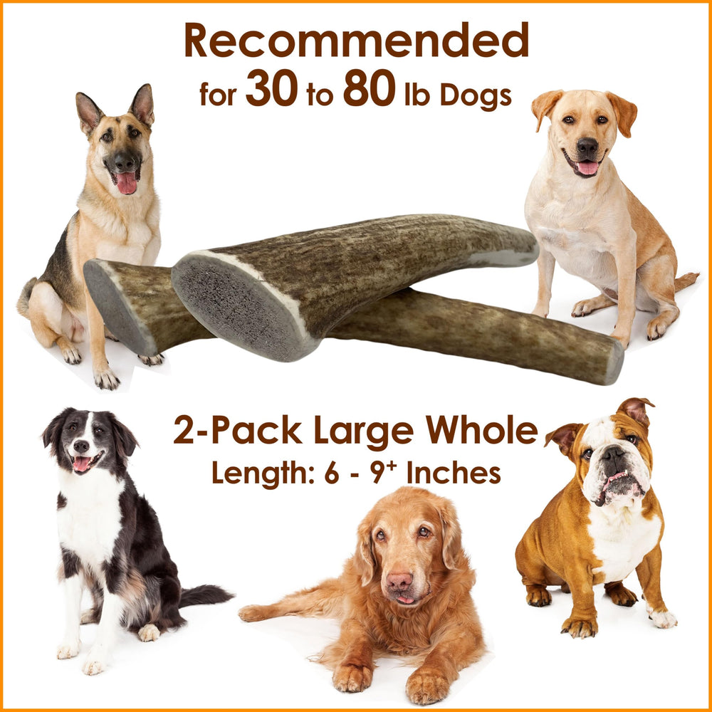 Deluxe Naturals elk antler sourced from free-roaming elk herds with ethical practices