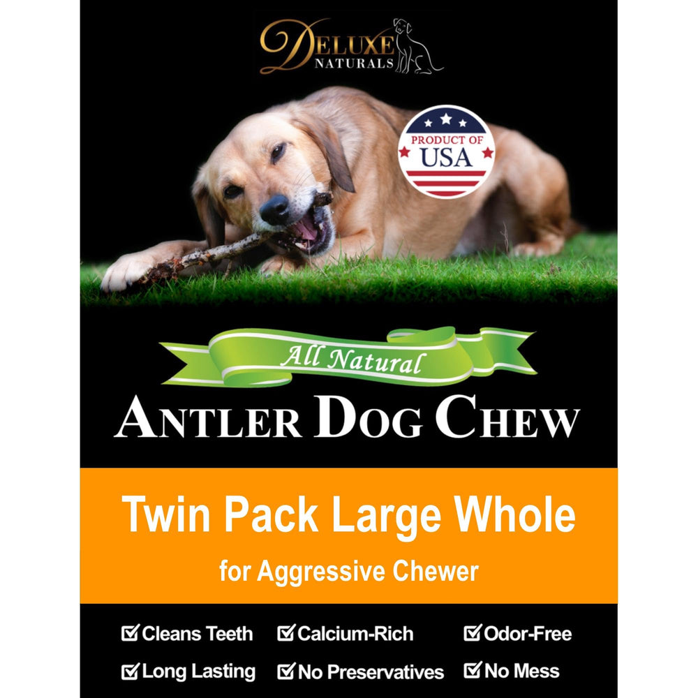 Deluxe Naturals elk antler chew product image showing natural color and texture