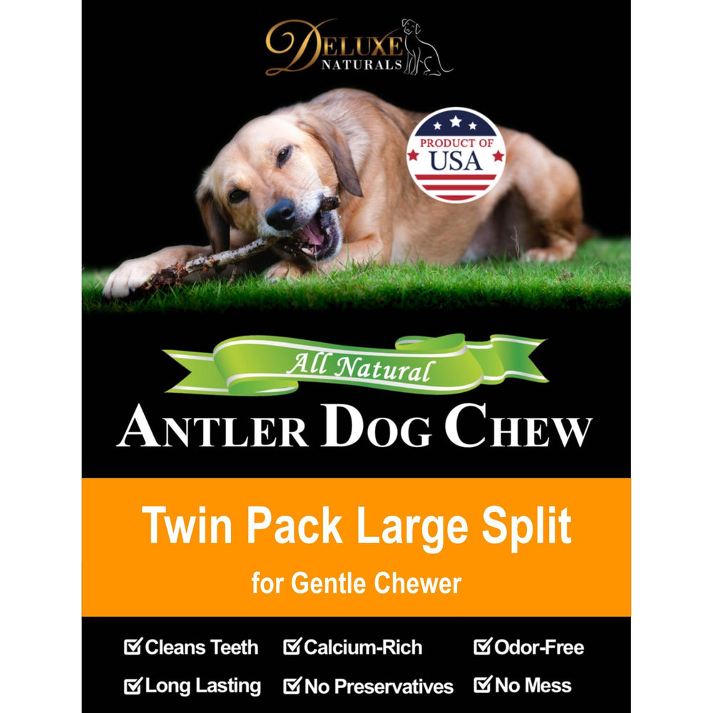 Deluxe Naturals long-lasting natural chew designed for extended play sessions