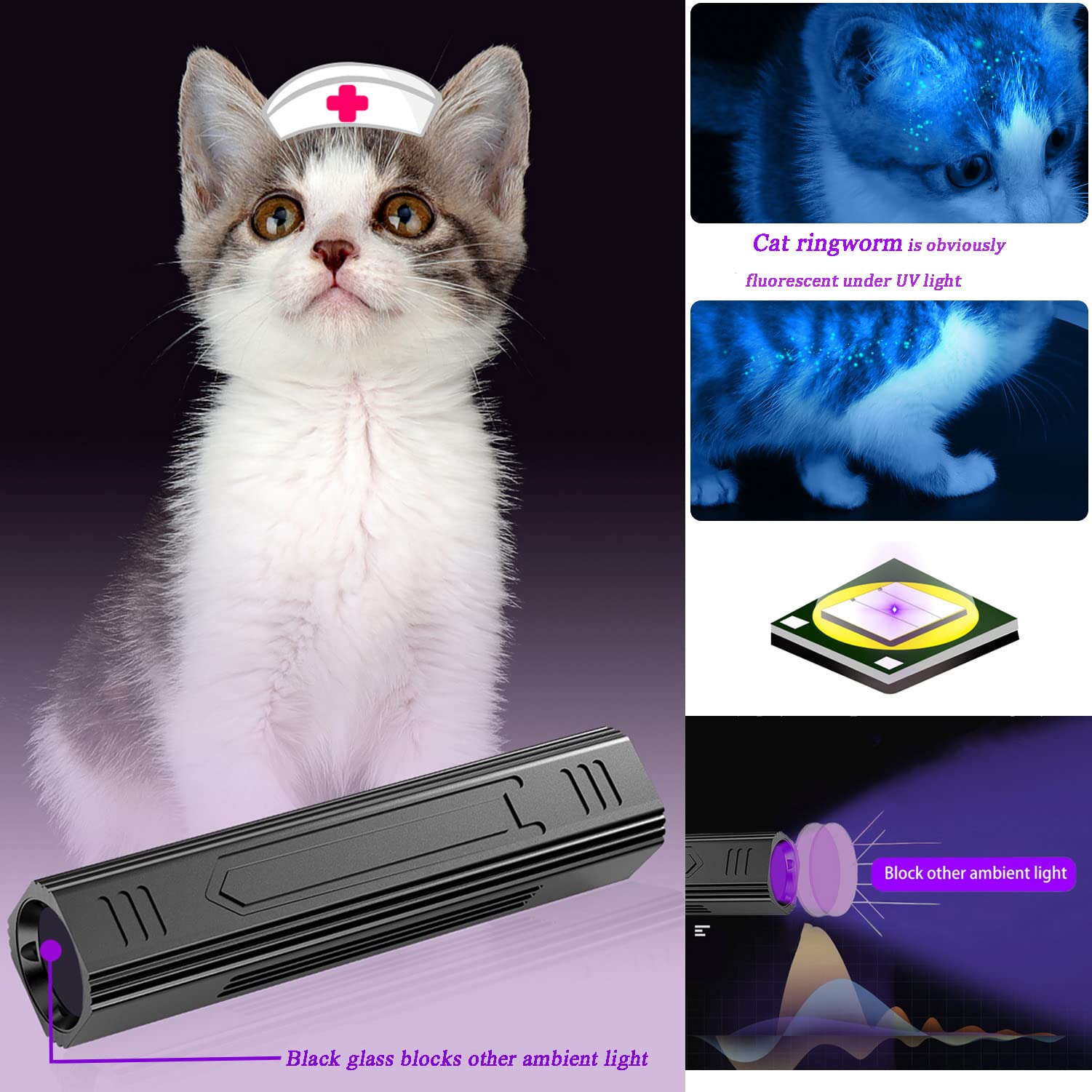 Denlydom Wood's UV Lamp 365nm beam highlighting fluorescence to spot ringworm patterns.