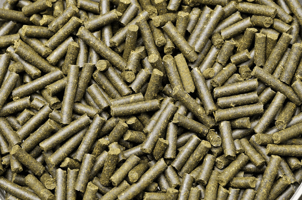 Dennerle Shrimp King Complete promotes color and vitality in freshwater shrimp.