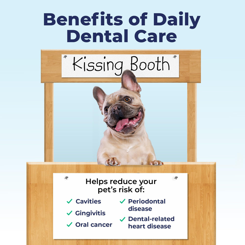 Dentabliss Vet-formulated USA-made dental care product.