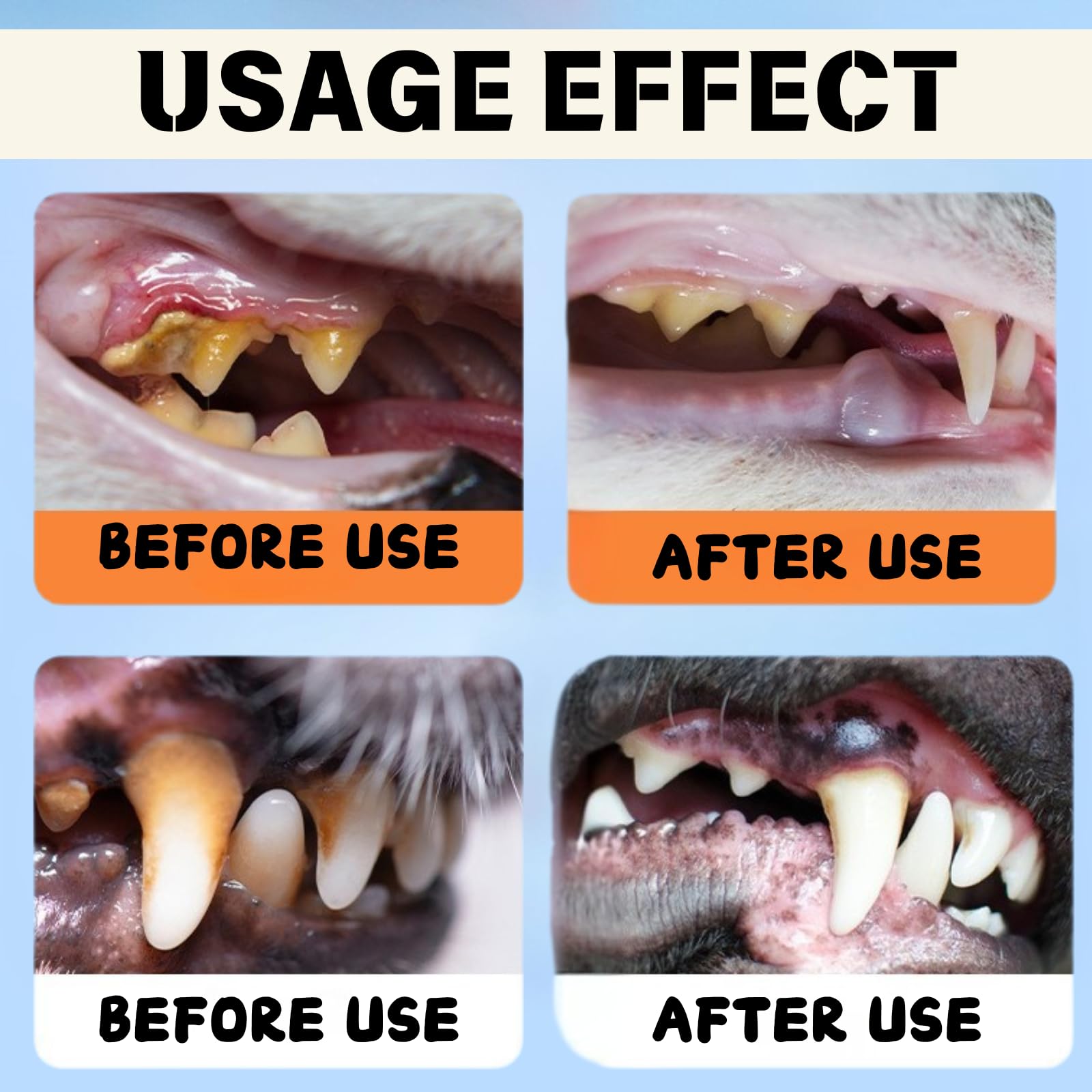Dental Plus natural plant ingredients shown in clear bottle.