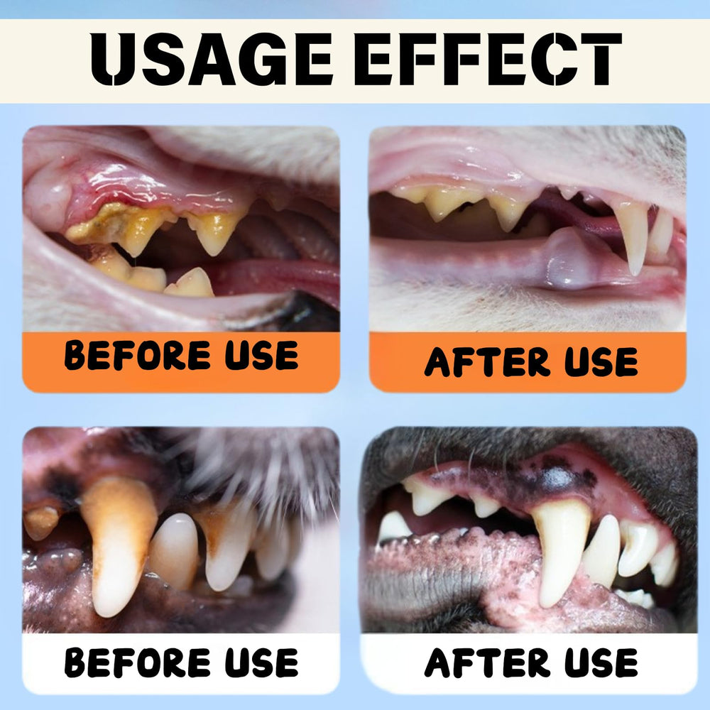 Dental Plus natural plant ingredients shown in clear bottle.