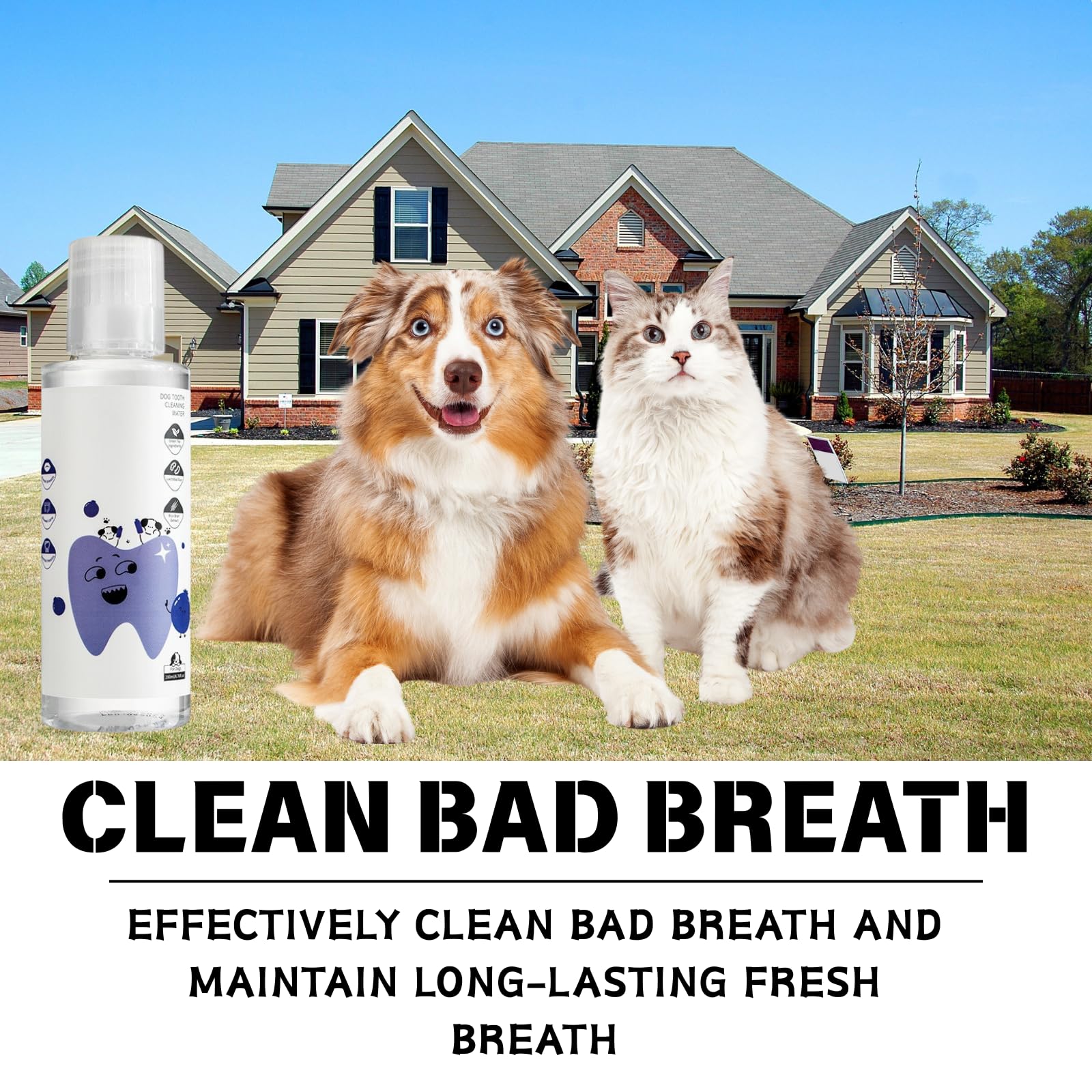 Dental Plus pet owner applies the water additive during daily care.