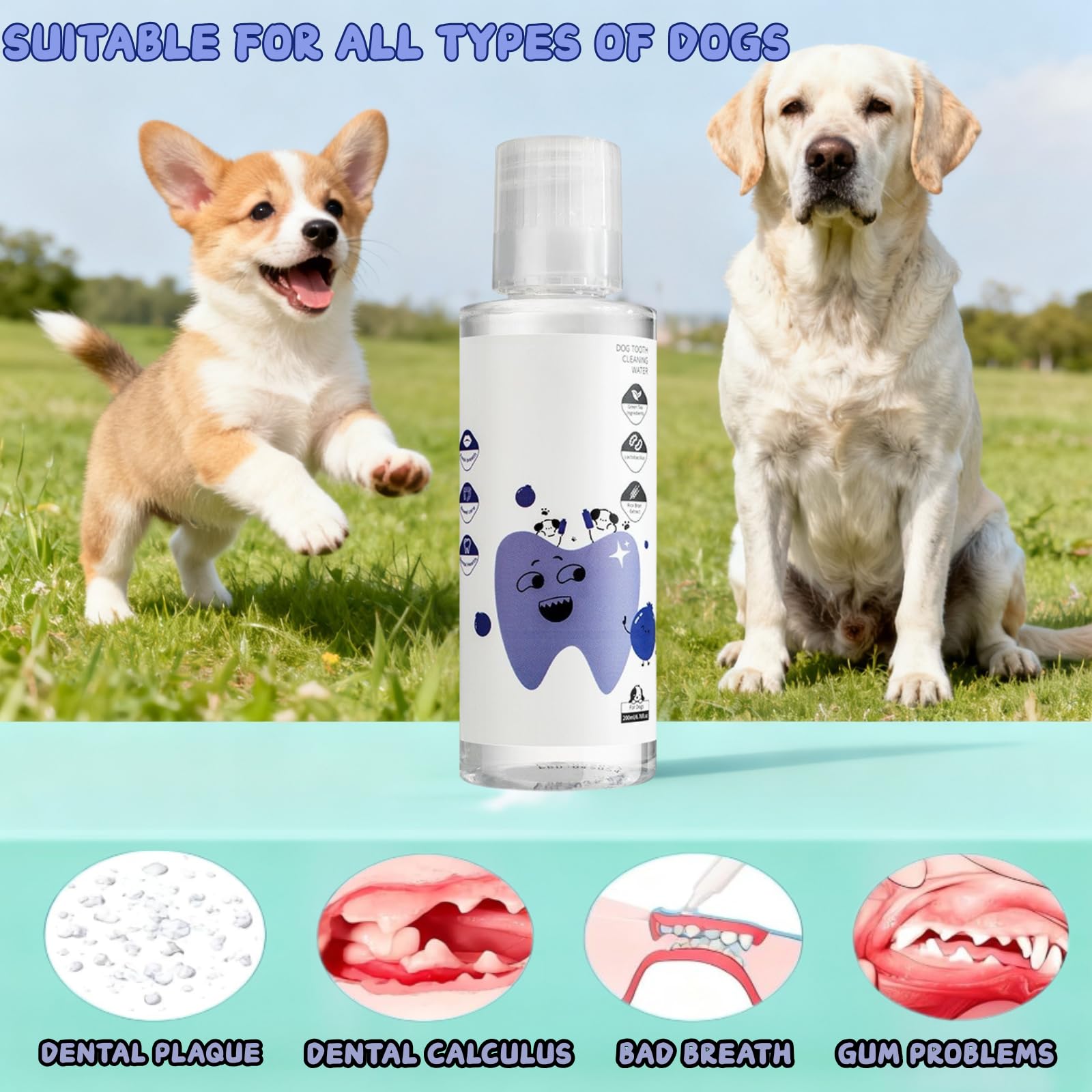 Dental Plus water-additive demonstrates 1:100 dosing for easy daily use.