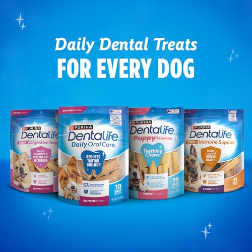 Dentalife ActivFresh pack displays 60 total chews for extended use.