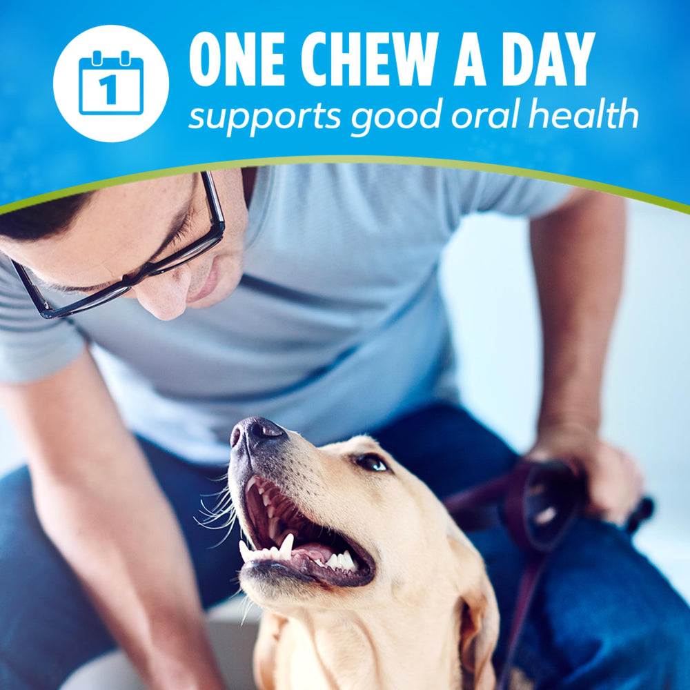 Dentalife ActivFresh breath-care close-up highlights breath-freshening potential for pets.