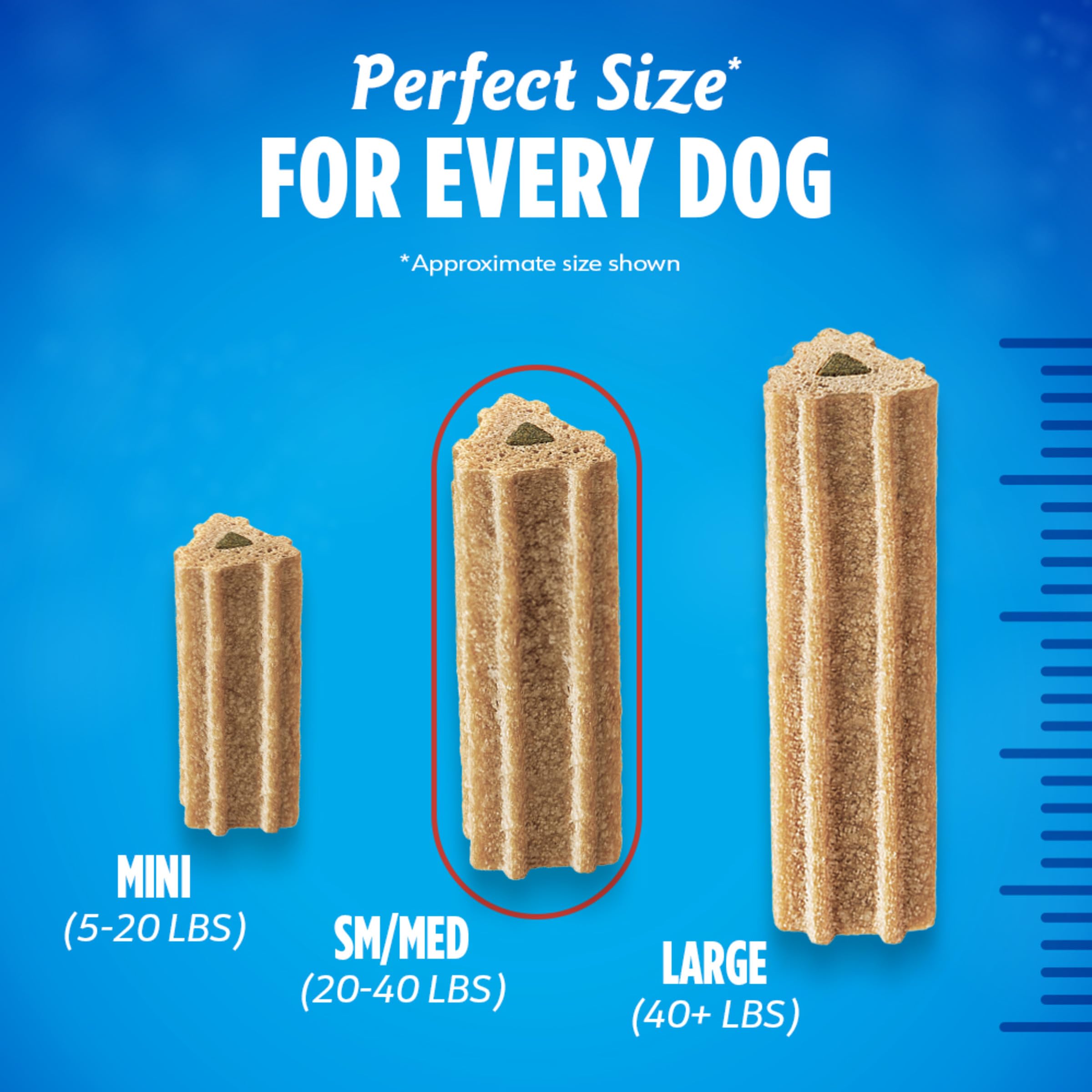 Dentalife ActivFresh dog chews in-use by owner and dog during reward time.