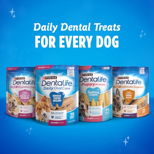 Dentalife ActivFresh 3-pack display communicates value and routine dental care benefits.