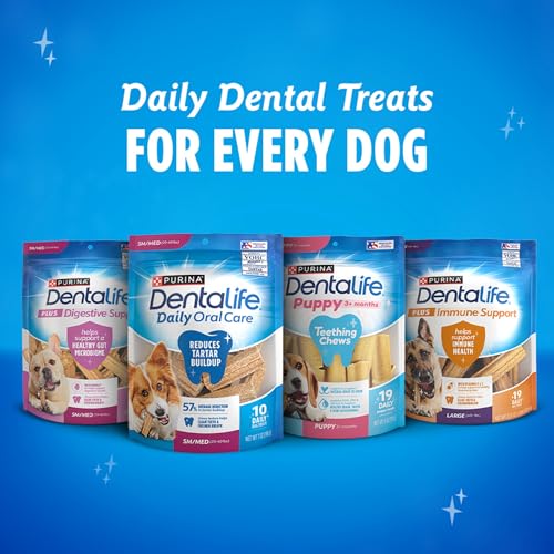Dentalife Plus Digestive Support back-of-pack nutrition notes gut health blend.
