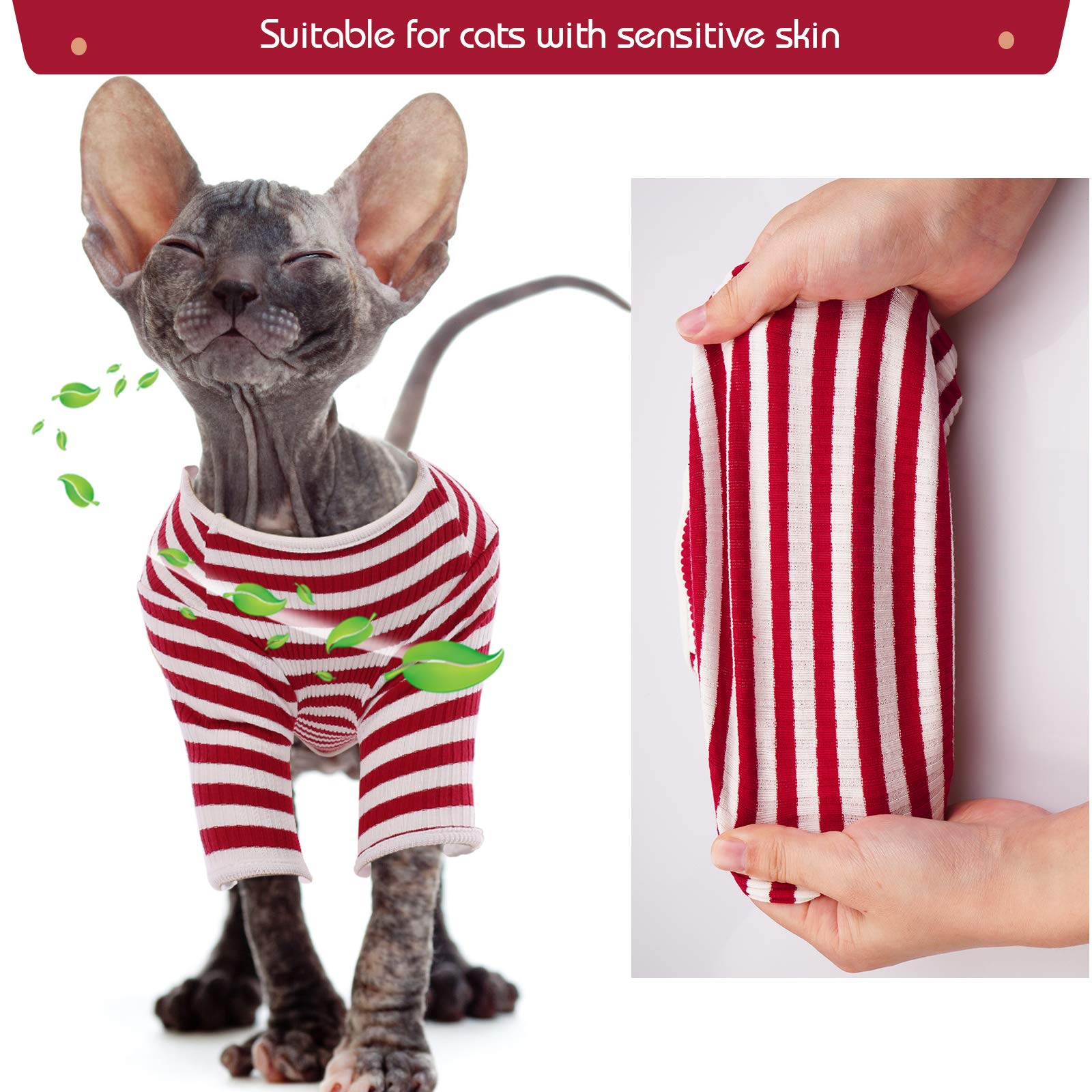 DENTRUN camiseta para gato Sphynx frente purpura: patrón vibrante que destaca.