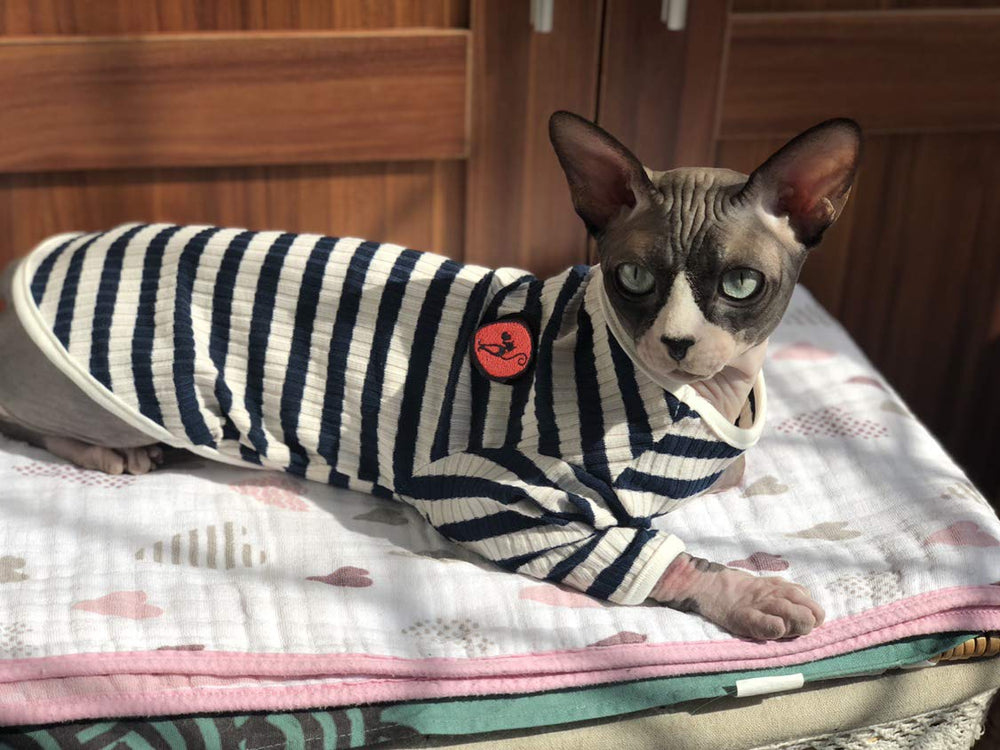 DENTRUN camiseta para gato Sphynx frente verde: comodidad diaria para gatos sin pelo.