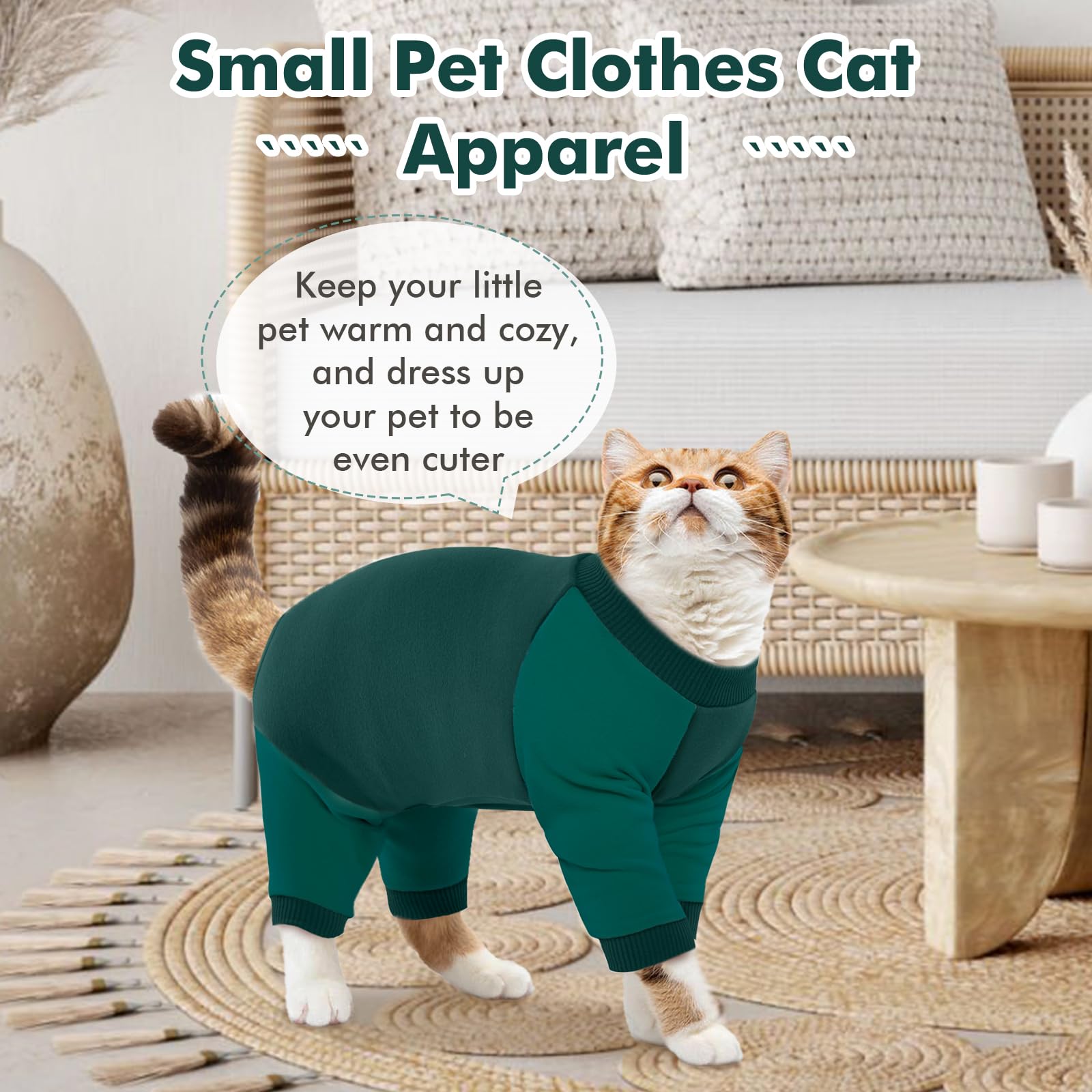 DENTRUN kitten-friendly recovery suit demonstrating hair-spread prevention in use.