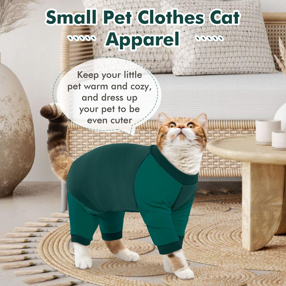 DENTRUN kitten-friendly recovery suit demonstrating hair-spread prevention in use.