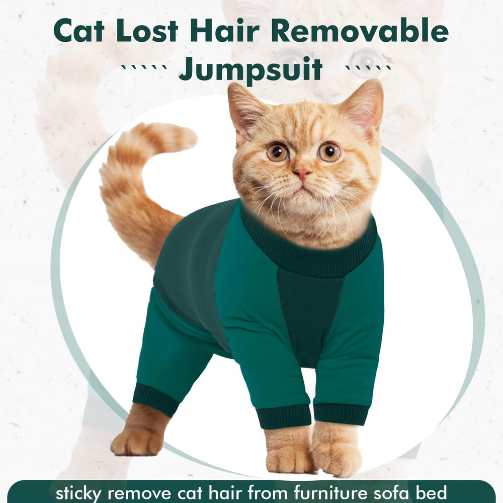 DENTRUN cat recovery suit on a sleeping cat illustrating tranquil wearability.