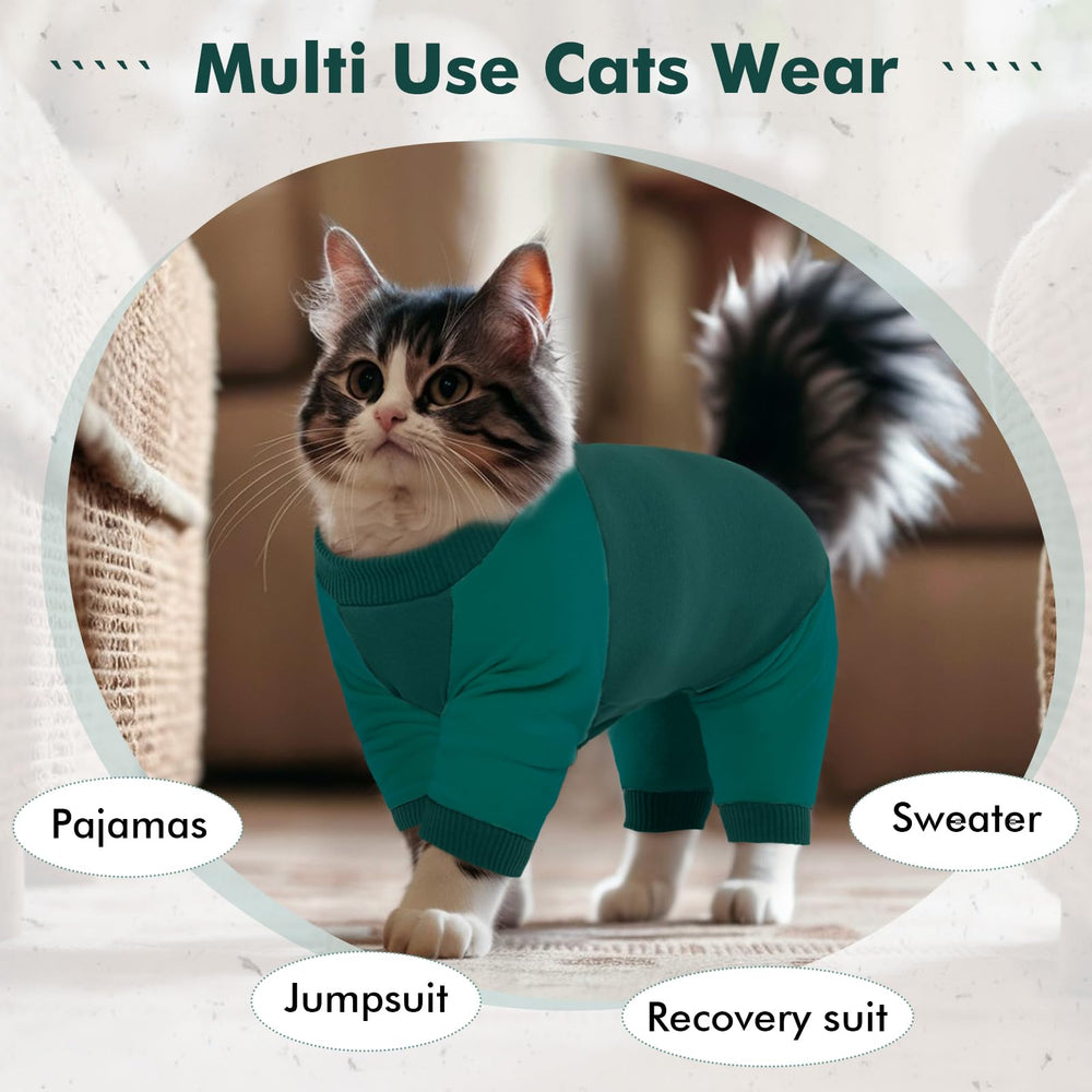 DENTRUN cat recovery suit as cozy pajama style outfit for lounging.