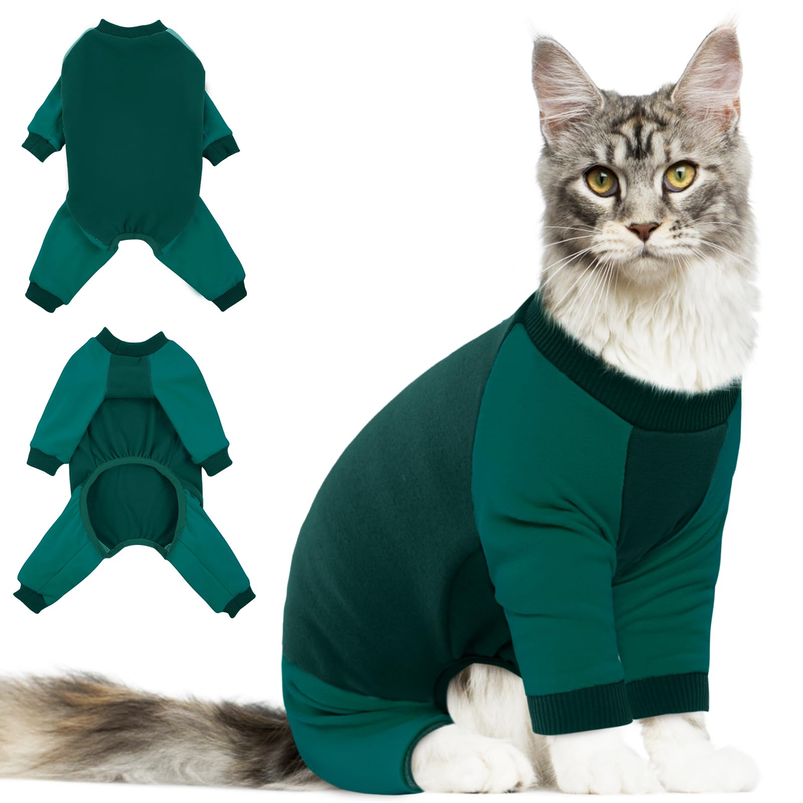 DENTRUN cat recovery suit worn on a cat for post-surgery protection and hair containment.
