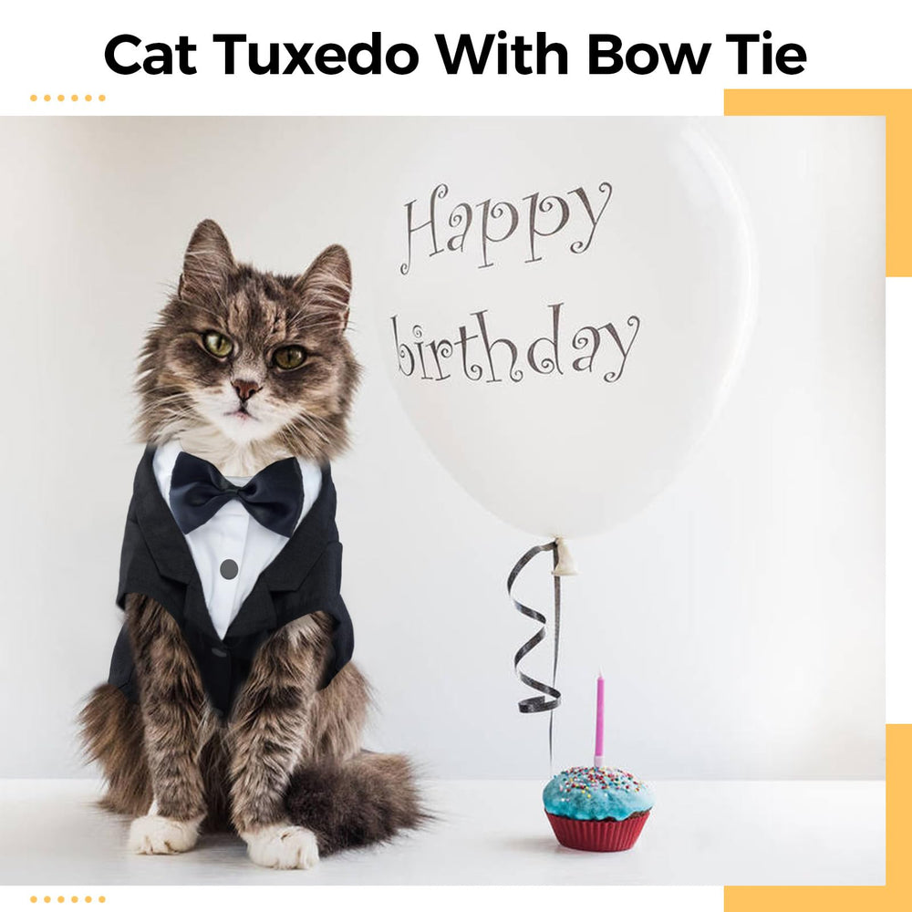 DENTRUN Cat Tuxedo Outfit back view with bowknot highlighting style
