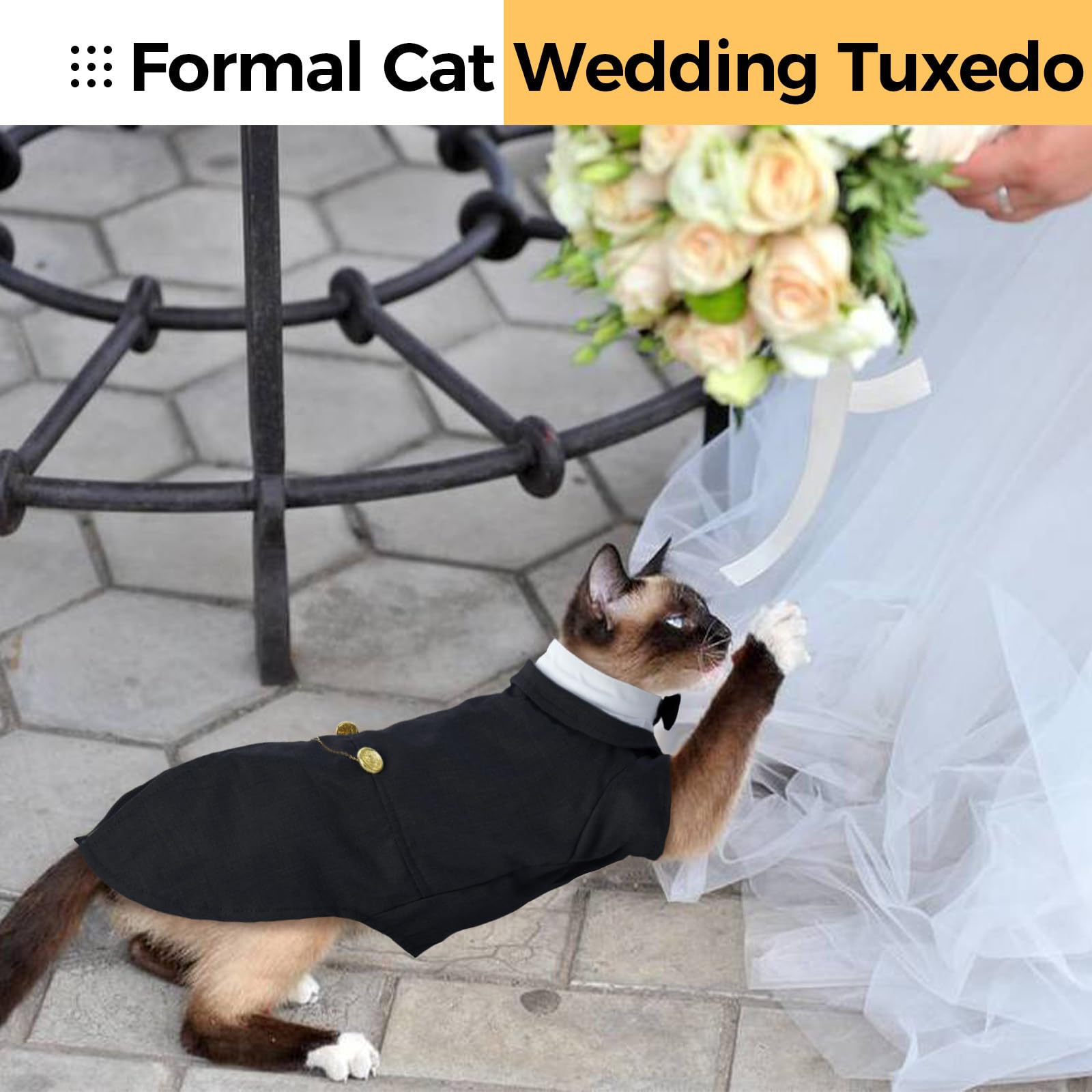 DENTRUN Cat Tuxedo Outfit ready-for-event look for photos and celebrations