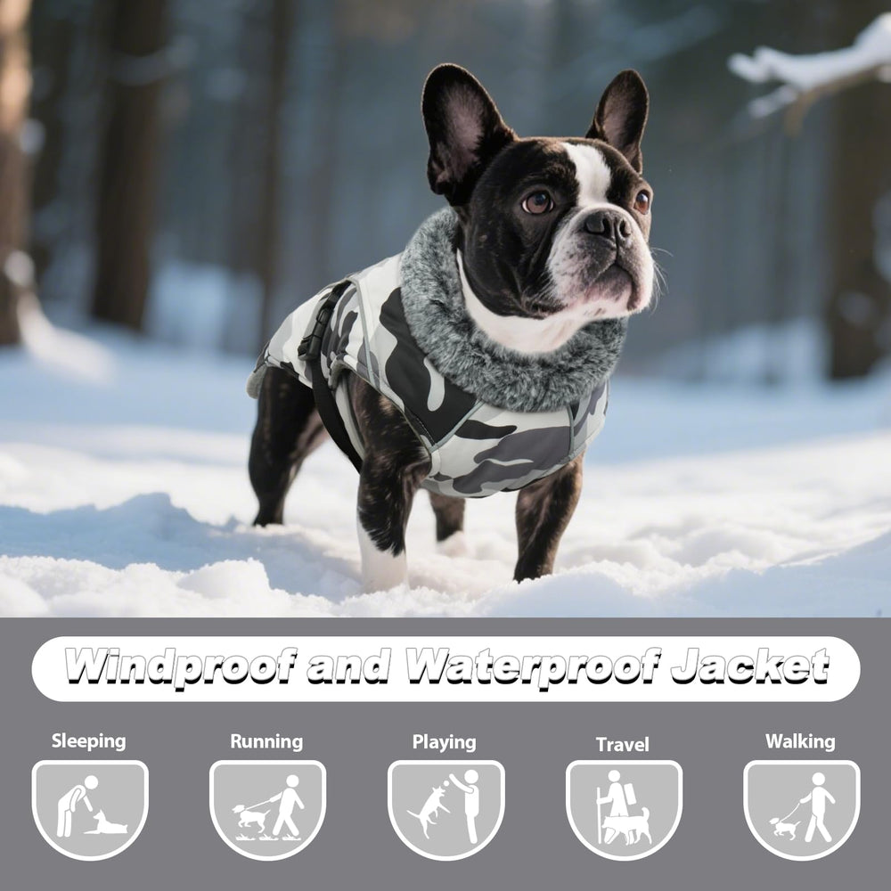 DENTRUN dog winter coat leash hole for harness attachment during hikes