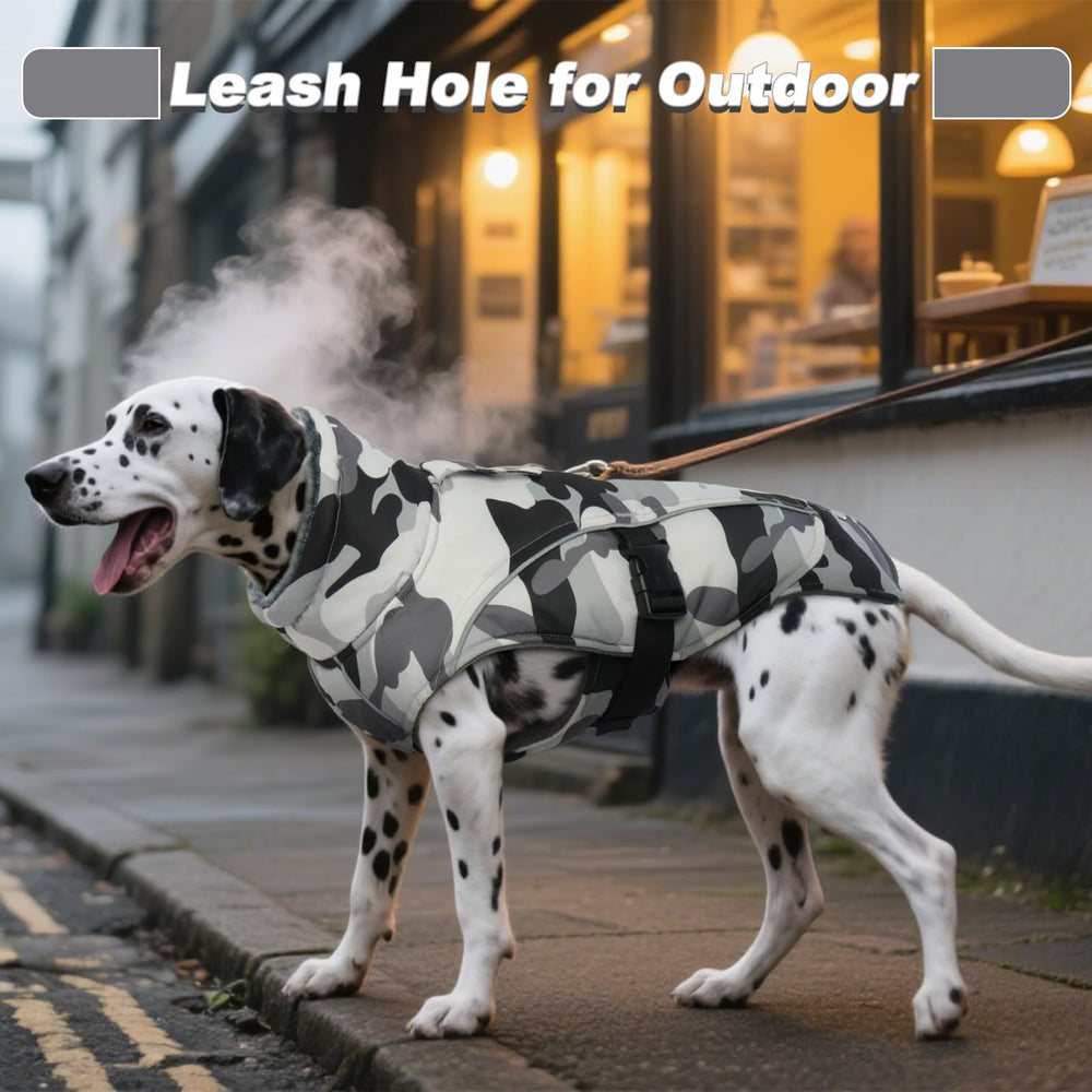 DENTRUN dog winter coat water-repellent finish ideal for damp days