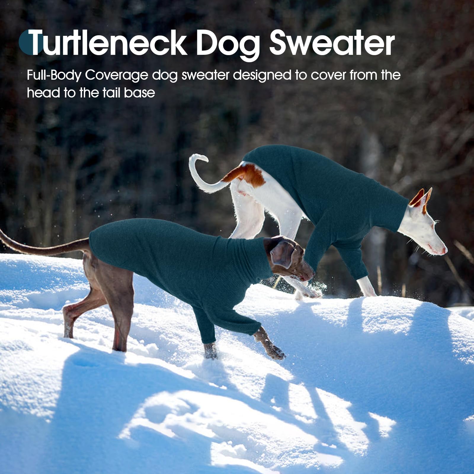 DENTRUN Italian Greyhounds Sweater full-cover design shields skin in cold weather.