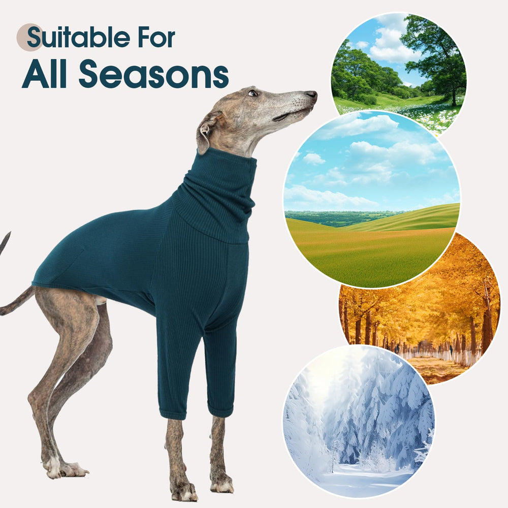 DENTRUN Italian Greyhounds Sweater size-chart reference helps achieve an accurate fit.