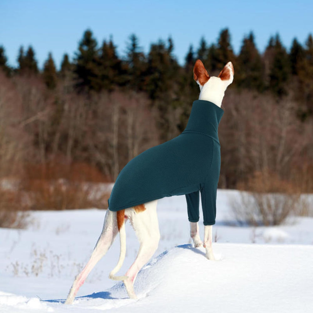DENTRUN Italian Greyhounds Sweater versatile for outdoor walks or cozy indoor lounging.